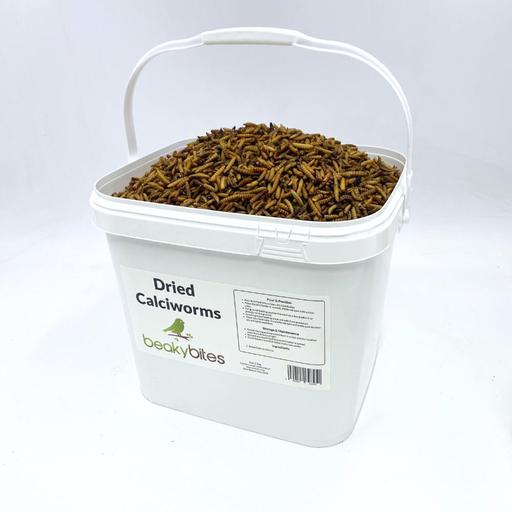 Dried Calciworms 2kg